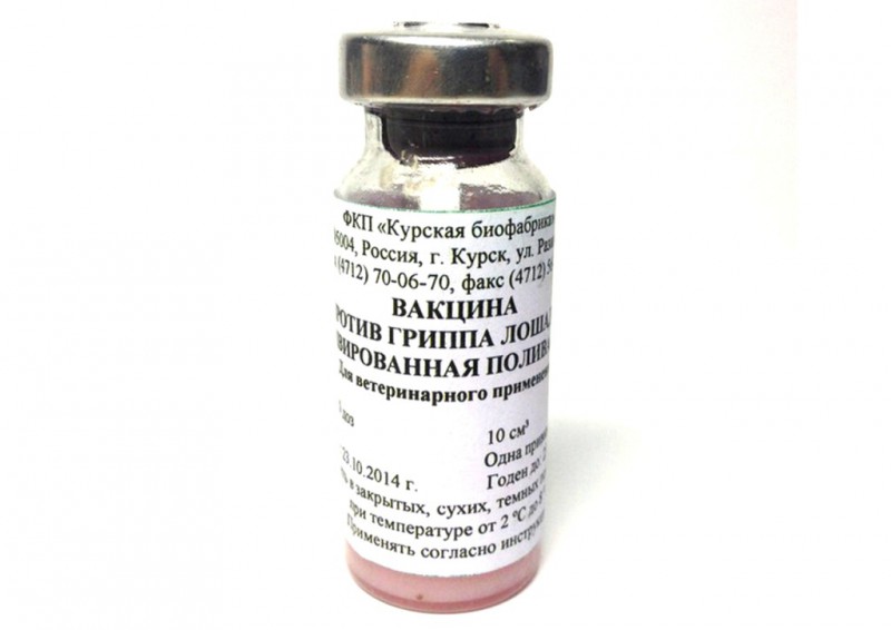 Вакцины ринопневмонии